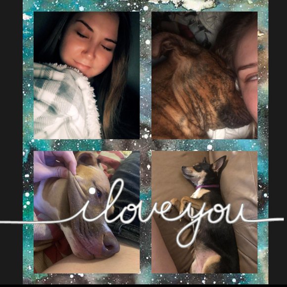 Meet your Posher, Patricia - Picture 1 of 1